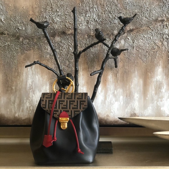 FENDI backpack 🎒 - Picture 2 of 10